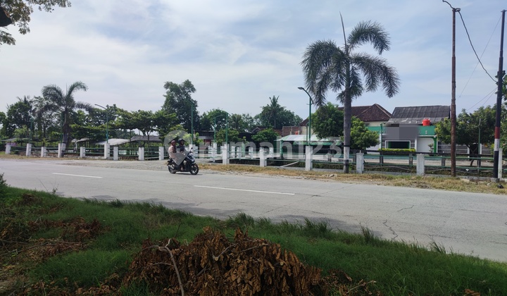 DIJUAL TANAH LUAS DI PINGGIR JALAN RAYA SEMARANG PURWODADI, JAWA TENGAH (KOTA GUBUG, GROBOGAN) 3