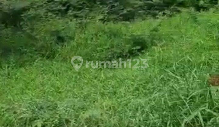 Tanah Kavling Luas 593 Sertifikat Hak Milik Lokasi Perumahan Wisma Asri Ujung Harapan Bekasi 2