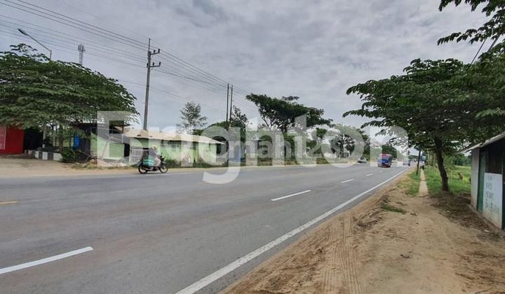 TANAH DI JL RAYA BANCAR TUBAN LOKASI STRATEGIS 2