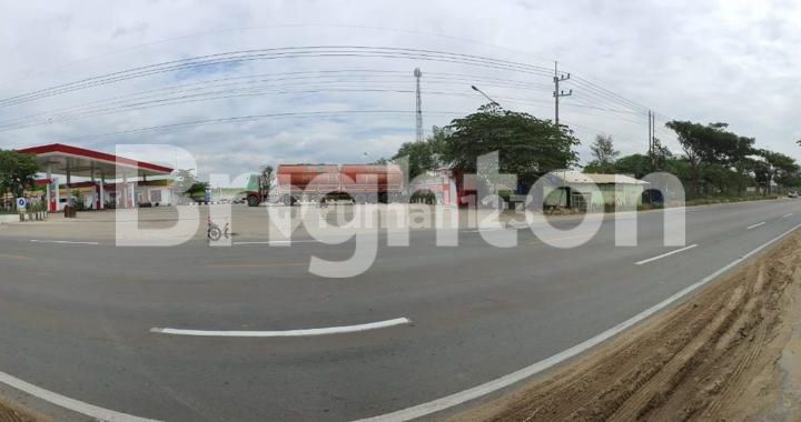 TANAH DI JL RAYA BANCAR TUBAN LOKASI STRATEGIS 3