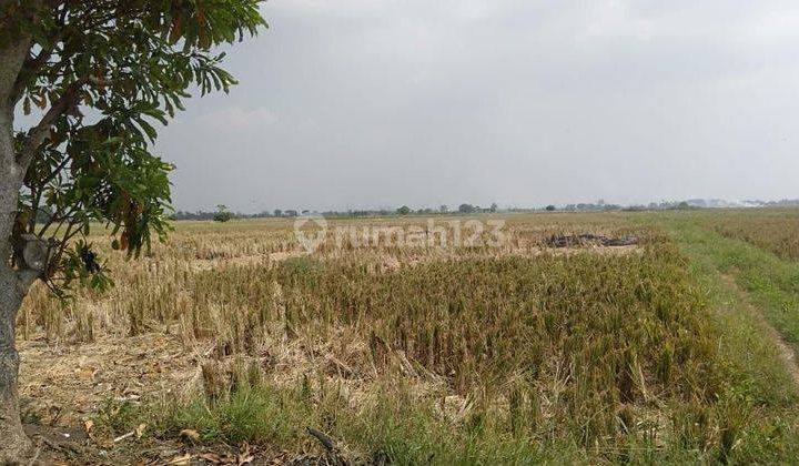 Dijual Lahan di Tambelang, Bekasi 3