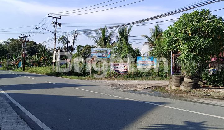 SAMBOJA AMBALAT LAHAN 4032 M2 DOKUMEN SEGEL COCOK BUAT KAVLINGAN ATAU BERKEBUN SEBAB LAHAN SUBUR 4
