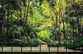 Hanya Hitung Tanah .. Rumah di Sayap Cihampelas, Bandung 8