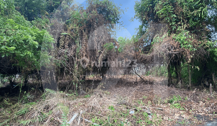 Tanah Siap Bangun di Jalan Sungai Raya Dalam 5