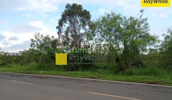Tanah  Di Pinggir Jalan Tanjung Api - api 1