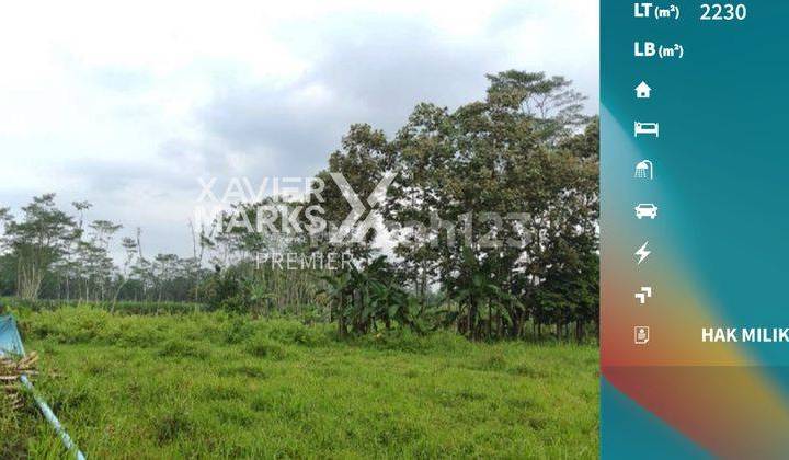 Tanah Strategis Jl Poros Bululawang Malang Akses Kontainer 1