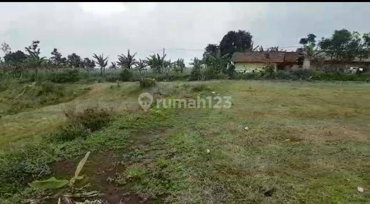 Tanah Kosong Bisa Untuk Lahan Pertanian di Cikalong Wetan 2