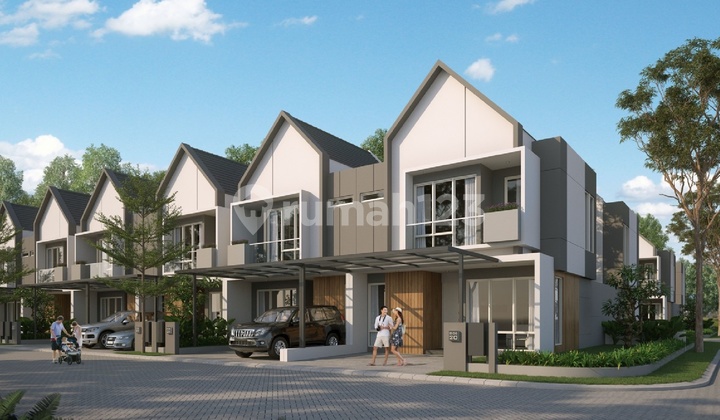 Gladiolus di Vila Bogor Indah 6