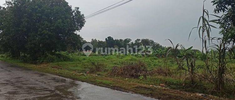 Tanah Industri Strategis di Jalan Raya Kedawung Cipendeuy Subang 1