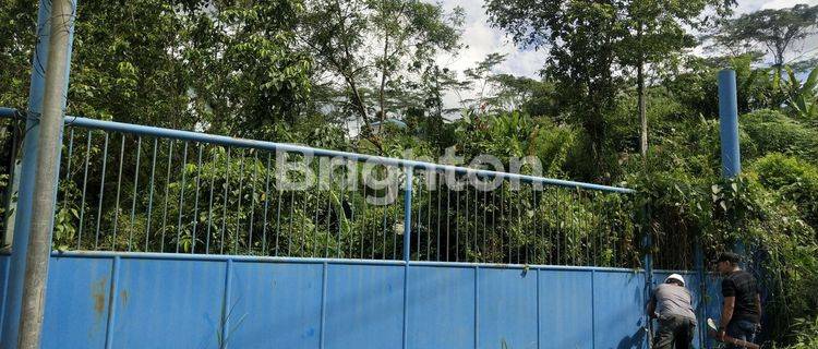TANAH 6 HA YANG TERKANDUNG BATUBARA DI KUTAI KERTANEGARA 1